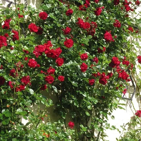 Prázdninový dům Ferienbauernhof Liesenberg Meerblickhaus Ostseebrise Fehmarn