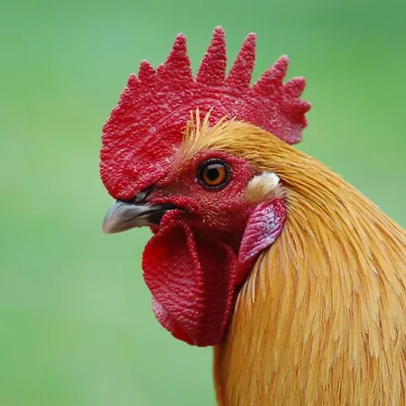 Prázdninový dům Ferienbauernhof Liesenberg Meerblickhaus Ostseebrise