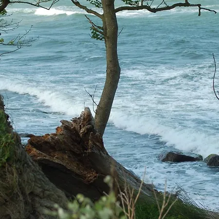 Ferienbauernhof Liesenberg Meerblickhaus Ostseebrise Prázdninový dům *