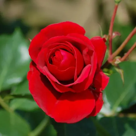 Ferienbauernhof Liesenberg Meerblickhaus Ostseebrise * Fehmarn