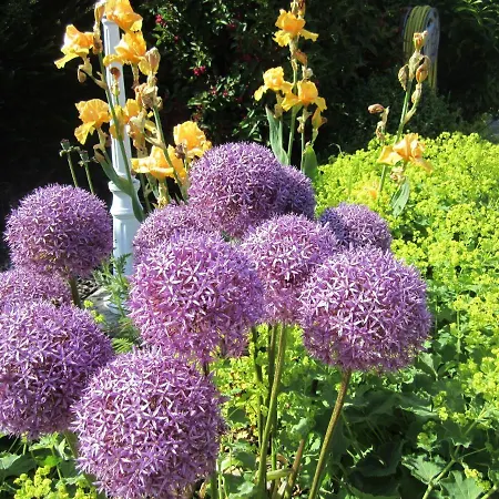 Prázdninový dům Ferienbauernhof Liesenberg Meerblickhaus Ostseebrise