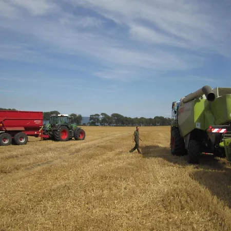 Ferienbauernhof Liesenberg Meerblickhaus Ostseebrise Fehmarn